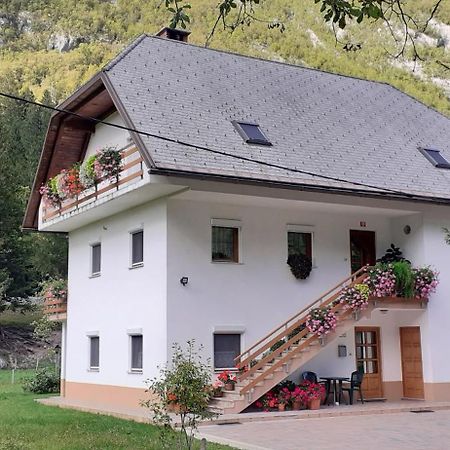 Apartma Pod Rozem Soča Exteriér fotografie