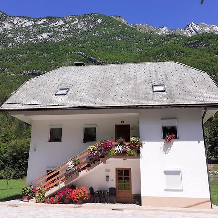 Apartma Pod Rozem Soča Exteriér fotografie