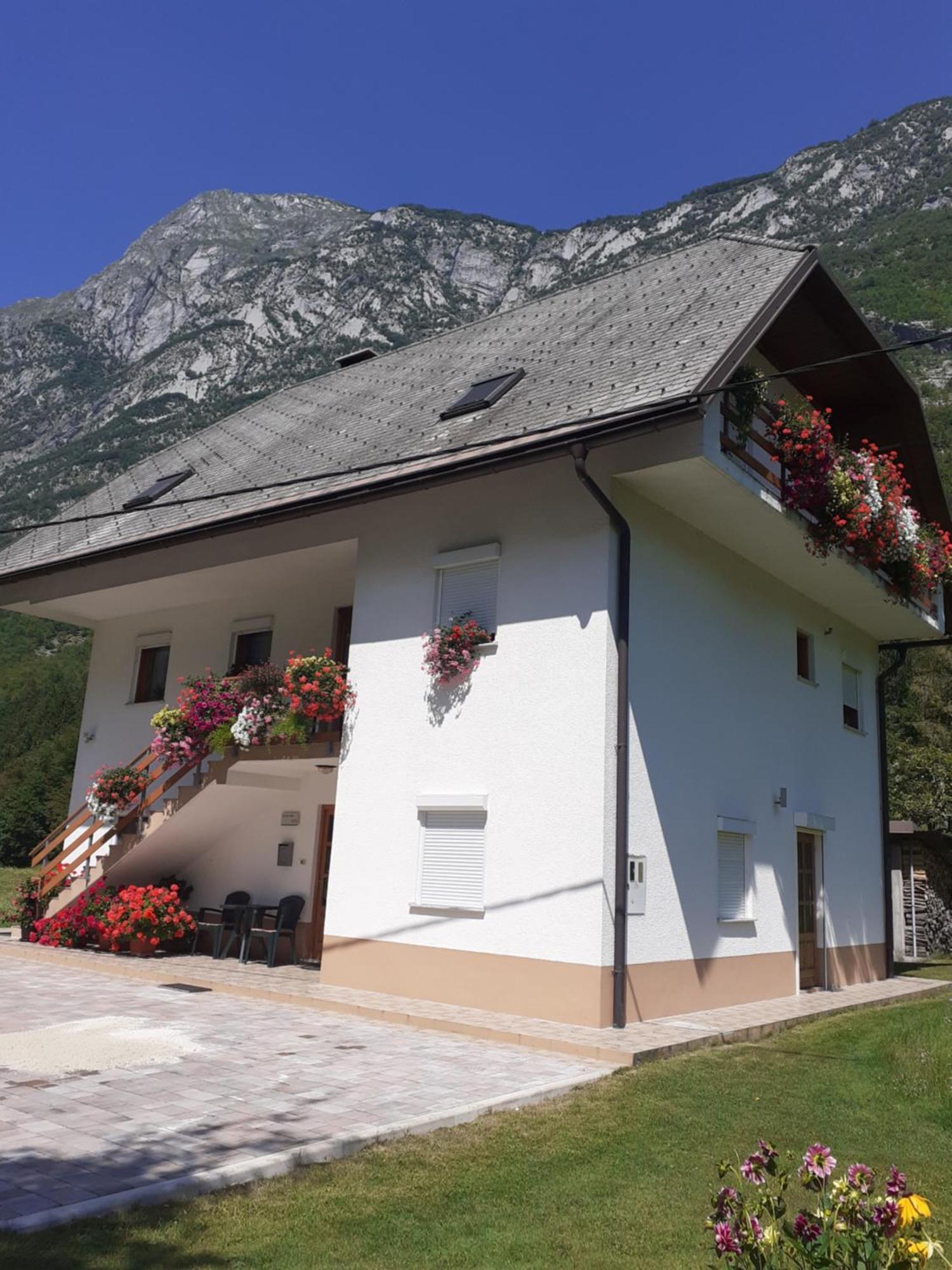 Apartma Pod Rozem Soča Exteriér fotografie