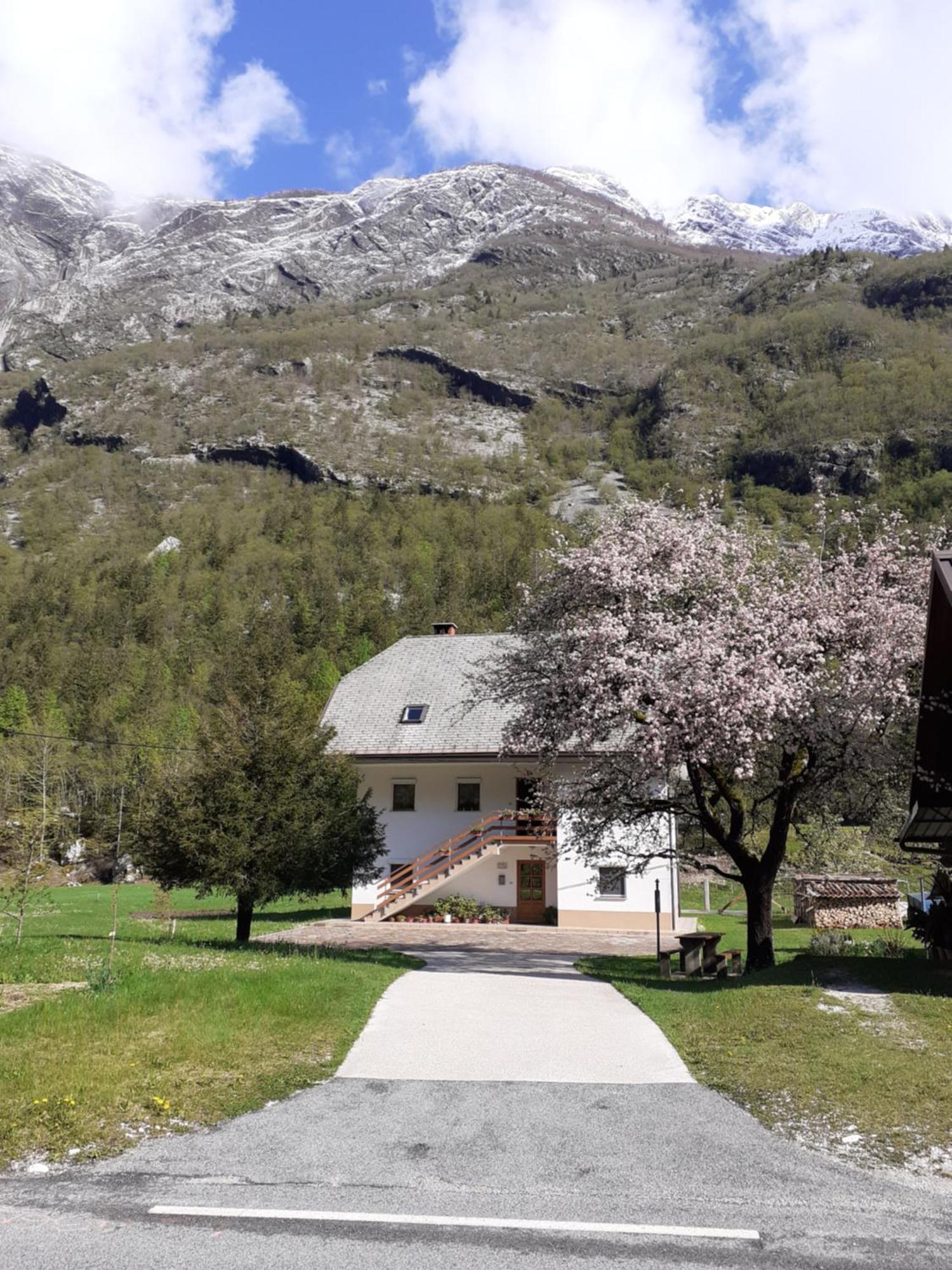 Apartma Pod Rozem Soča Exteriér fotografie