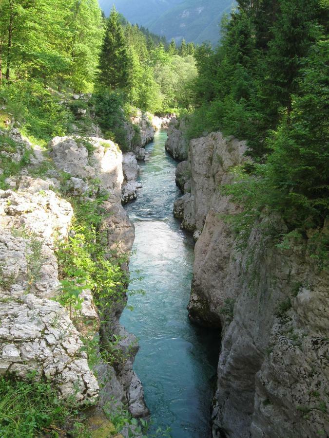 Apartma Pod Rozem Soča Exteriér fotografie