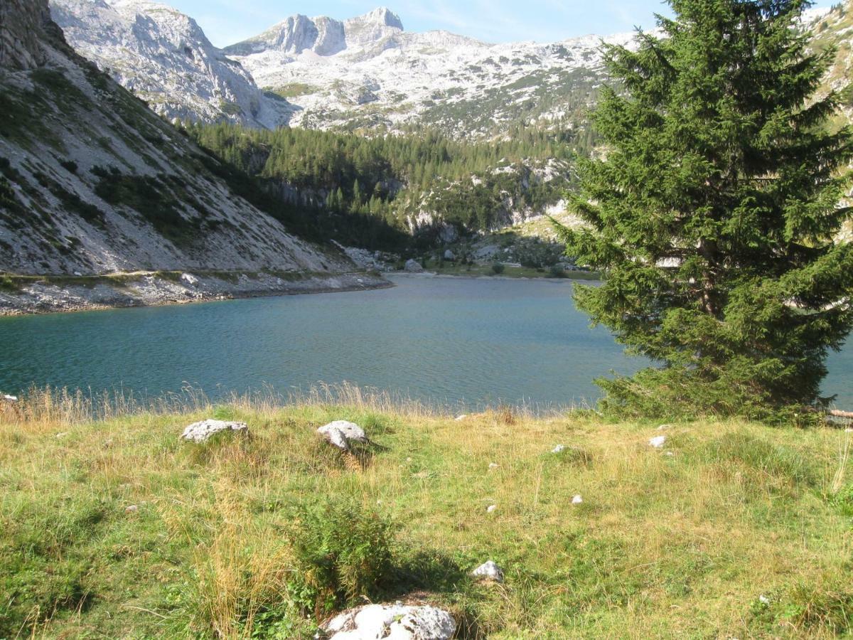 Apartma Pod Rozem Soča Exteriér fotografie