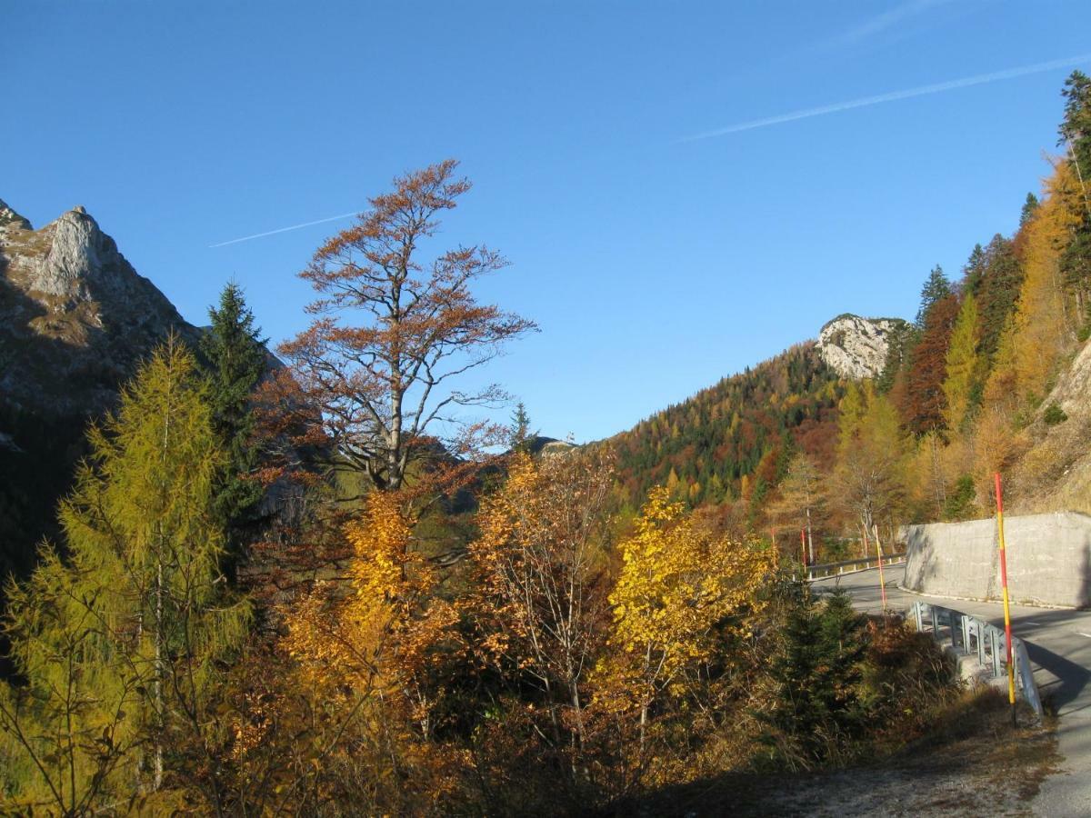 Apartma Pod Rozem Soča Exteriér fotografie