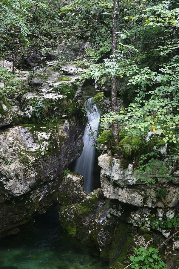 Apartma Pod Rozem Soča Exteriér fotografie